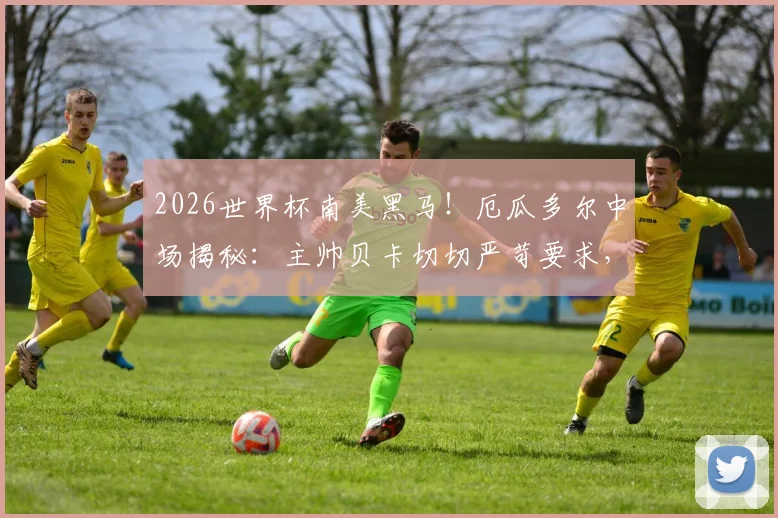 2026世界杯南美黑马！厄瓜多尔中场揭秘：主帅贝卡切切严苛要求，如何锻造出夺冠热门战力