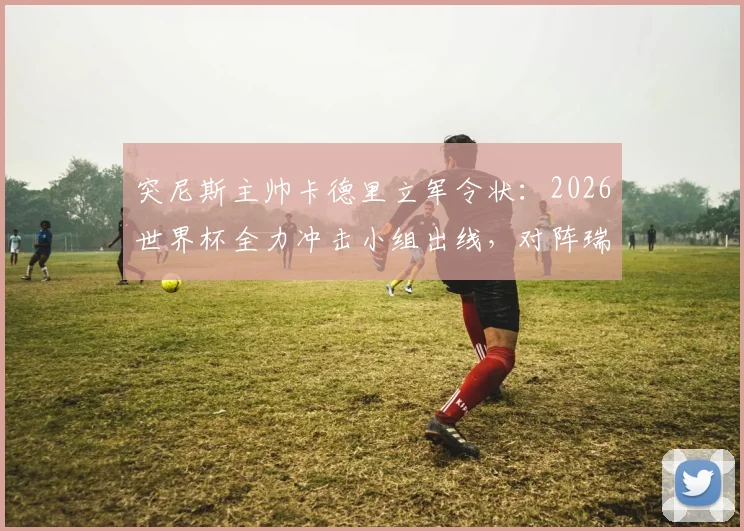突尼斯主帅卡德里立军令状：2026世界杯全力冲击小组出线，对阵瑞典生死战求胜攻略全解析